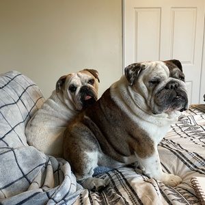 Meet your Posher, Jacqueline